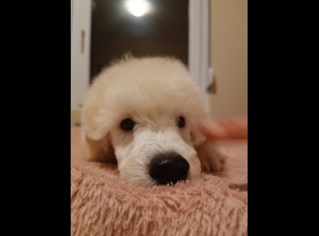 viber_slika_2025-12-07_12-34-25-072 – kopija.jpg